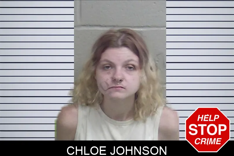 Chloe Johnson Mugshots