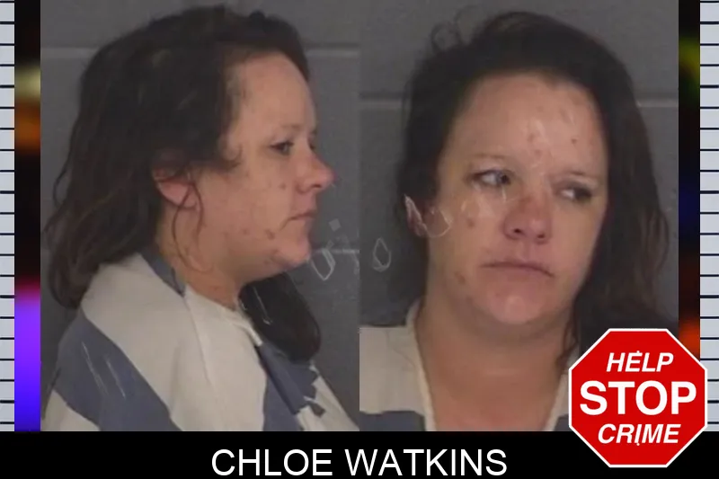 Chloe Watkins mugshot