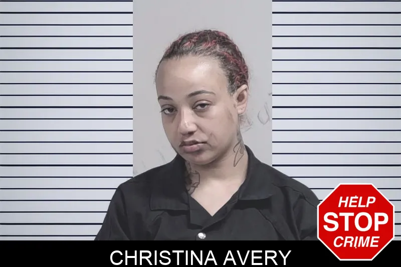 Christina Avery mugshot – Lowndes County , Georgia Christina Avery mugshot