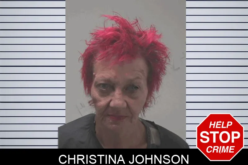 Christina Johnson mugshot