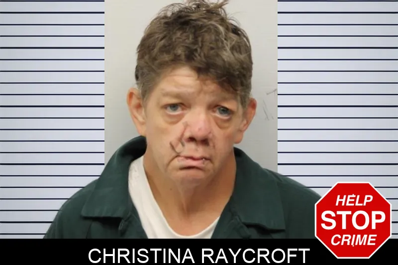Christina Raycroft mugshot – Chatham County , Georgia Christina Raycroft mugshot
