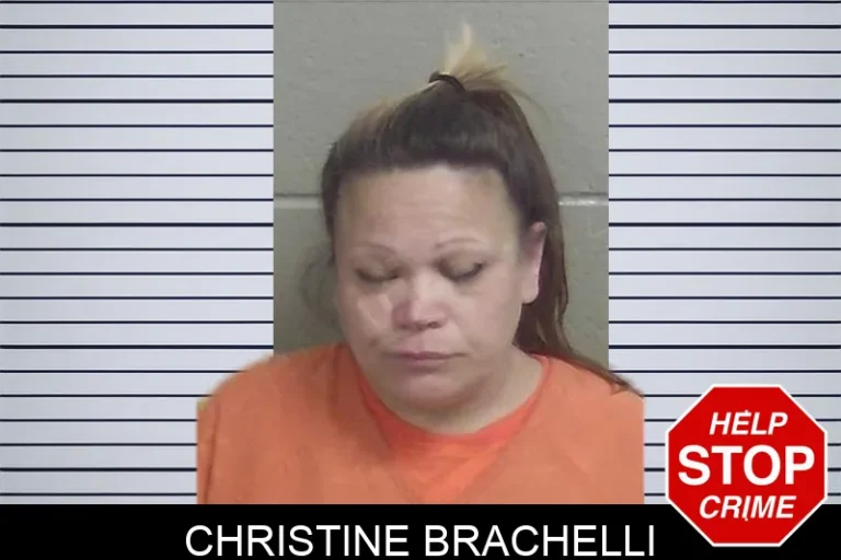 Christine Brachelli mugshot – Wayne County , Georgia Christine Brachelli