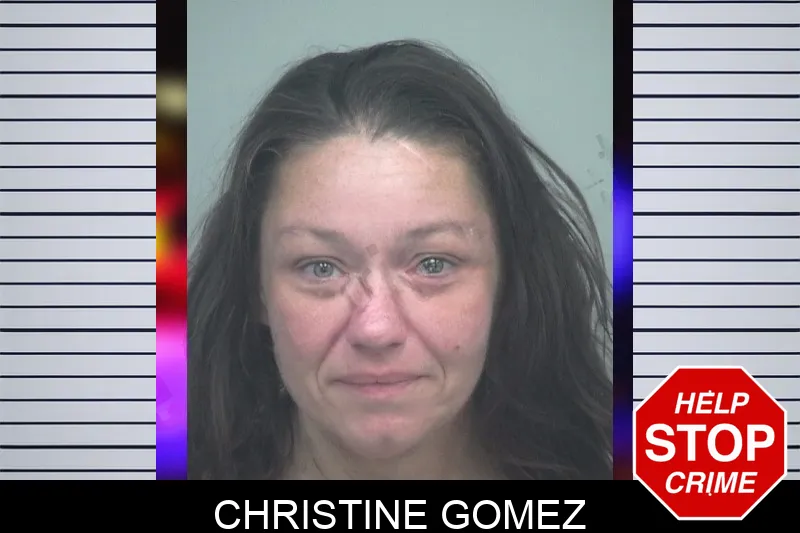 Christine Gomez Mugshots
