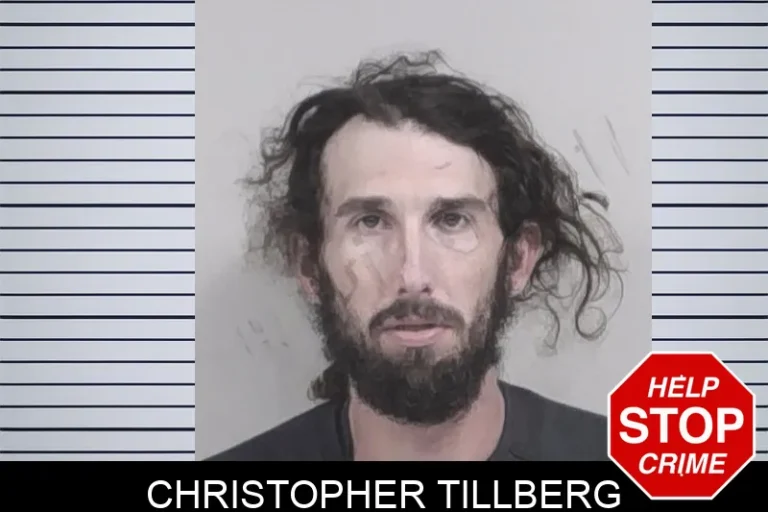 Christopher Tillberg mugshot – Lowndes County , Georgia Christopher Tillberg