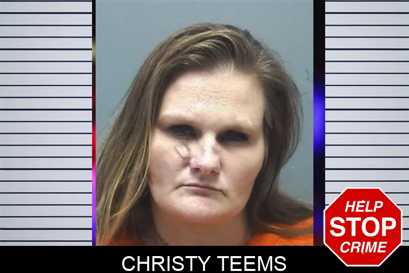 Christy Teems mugshot