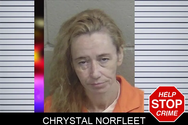 Chrystal Norfleet Mugshots