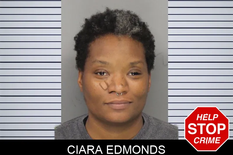 Ciara Edmonds mugshot – Cobb County , Georgia Ciara Edmonds mugshot