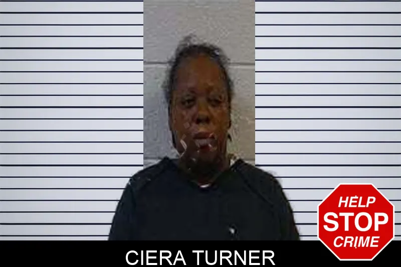 Ciera Turner Mugshots