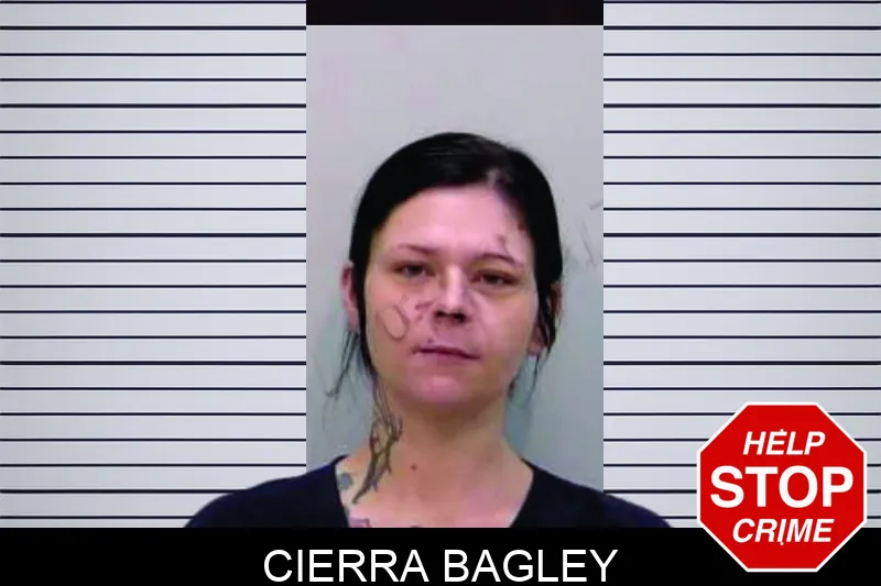 Cierra Bagley Mugshots