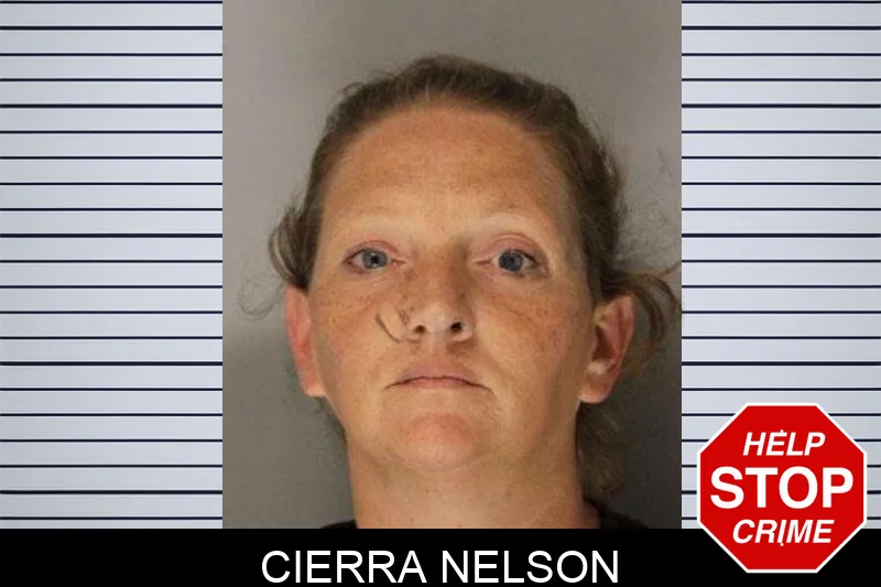 Cierra Nelson mugshot – Hall County , Georgia Cierra Nelson mugshot