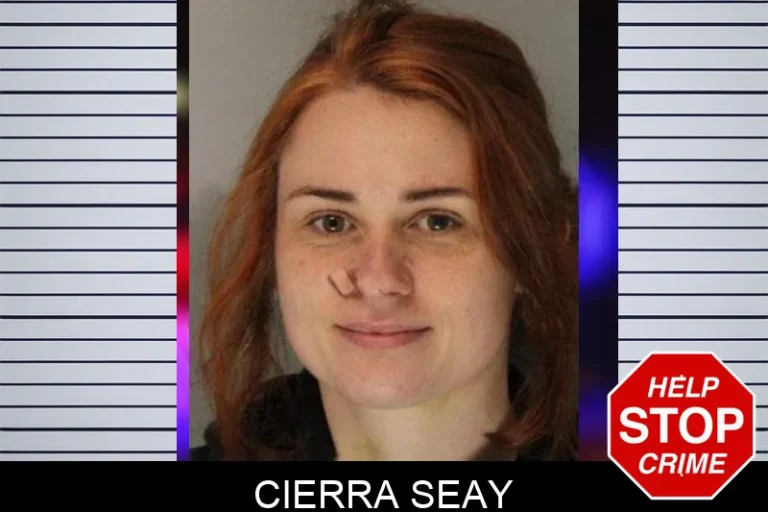 Cierra Seay mugshot – Hall County , Georgia Cierra Seay