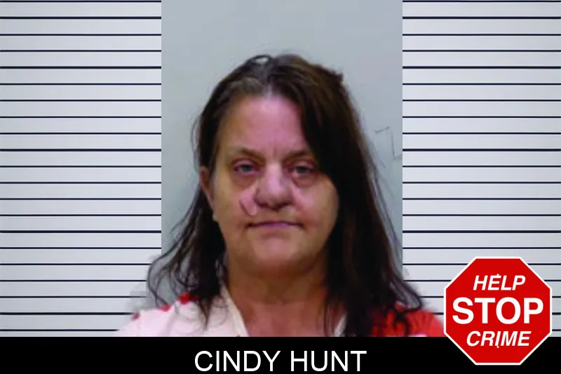 Cindy Hunt mugshot