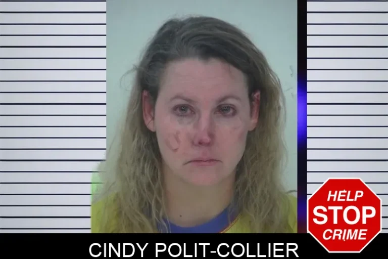 Cindy Polit-Collier mugshot – Fayette County , Georgia Cindy Polit-Collier