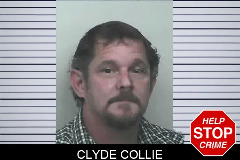 Clyde Collie
