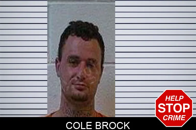 Cole Brock Mugshots
