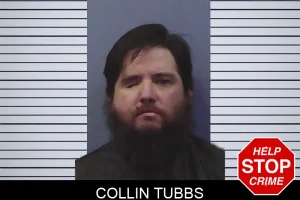 Collin Tubbs mugshot