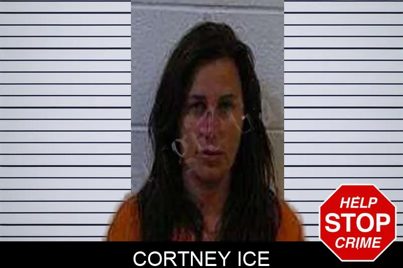 Cortney Ice Mugshots