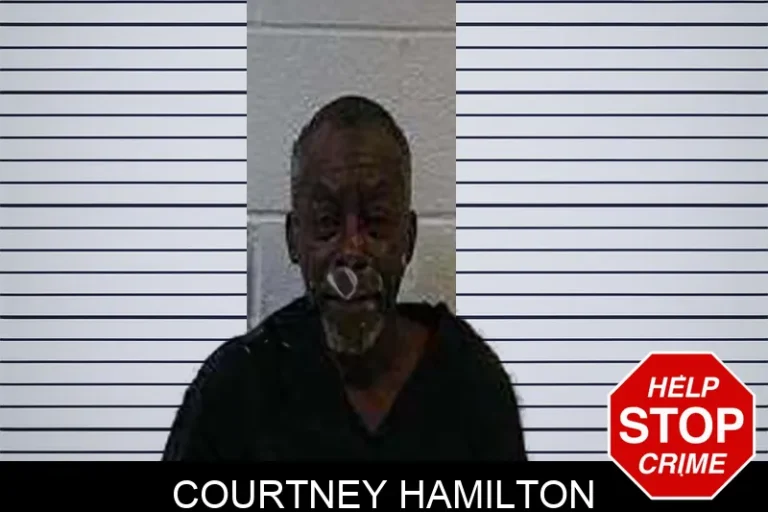 Courtney Hamilton mugshot – Polk County , Georgia Courtney Hamilton