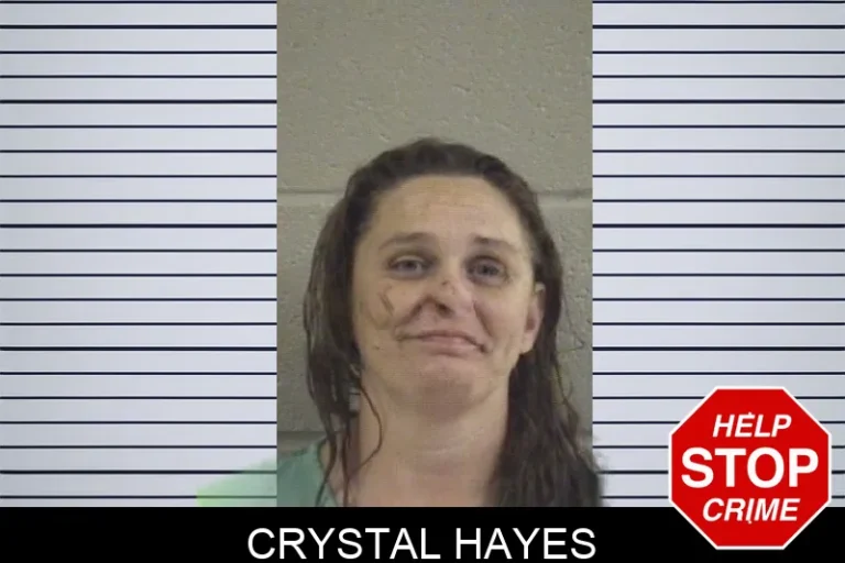 Crystal Hayes mugshot – Whitfield County , Georgia Crystal Hayes