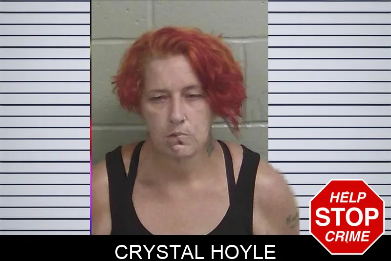 Crystal Hoyle Mugshots