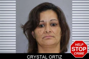 Crystal Ortiz mugshot