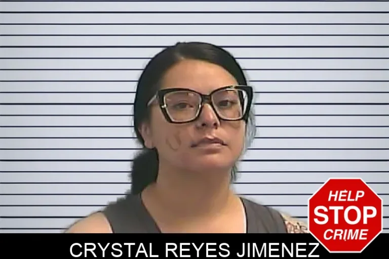 Crystal Reyes Jimenez mugshot – Dawson County , Georgia Crystal Reyes Jimenez
