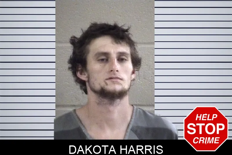 Dakota Harris Mugshots