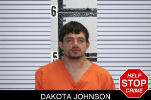 Dakota Johnson mugshot