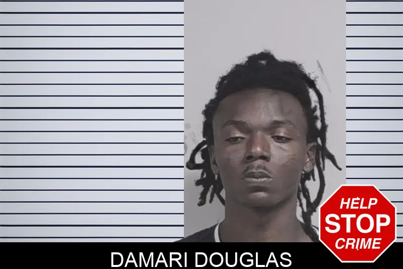 Damari Douglas mugshot – Lowndes County , Georgia Damari Douglas mugshot