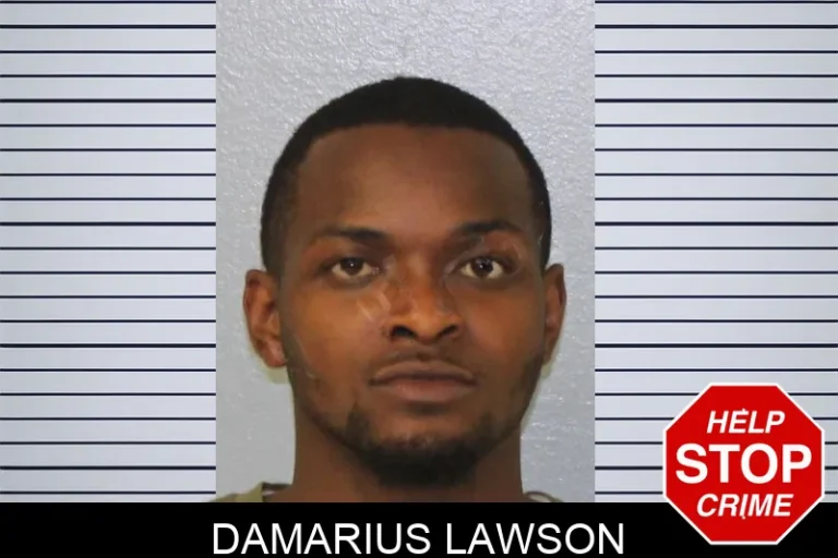 Damarius Lawson mugshot – Mcintosh County , Georgia Damarius Lawson