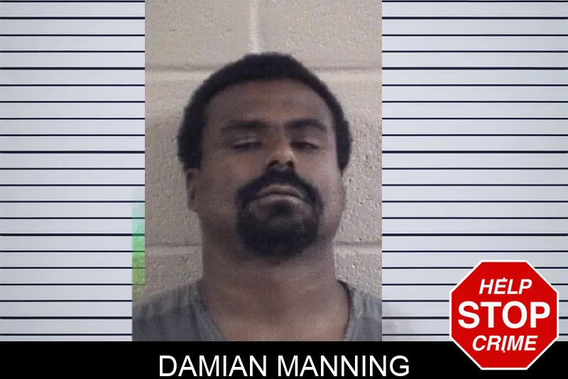 Damian Manning mugshot – Whitfield County , Georgia Damian Manning mugshot