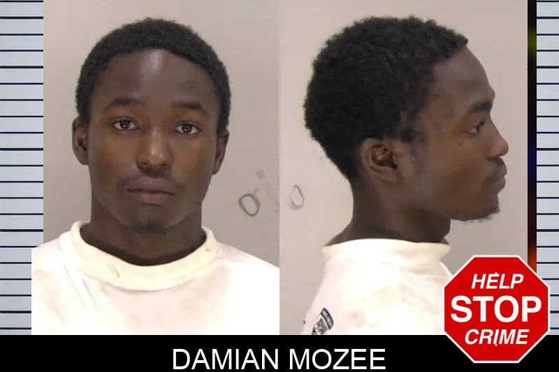 Damian Mozee Mugshots