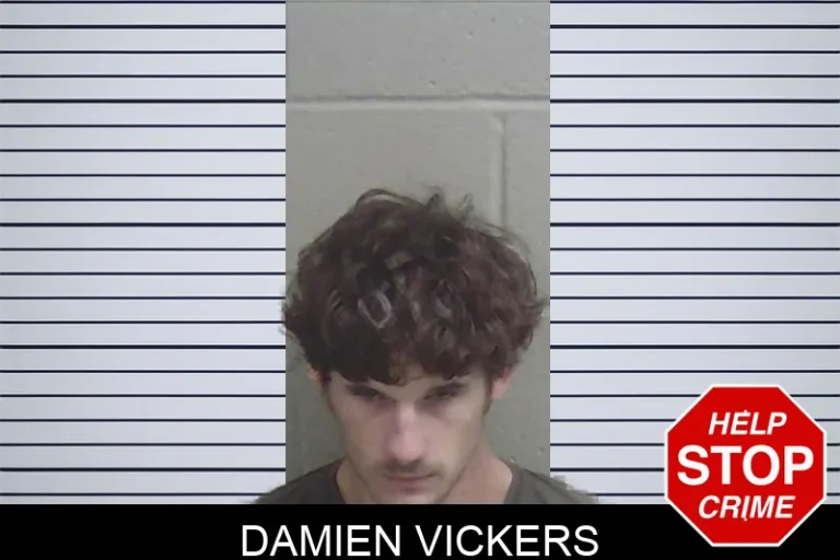 Damien Vickers mugshot – Wayne County , Georgia Damien Vickers
