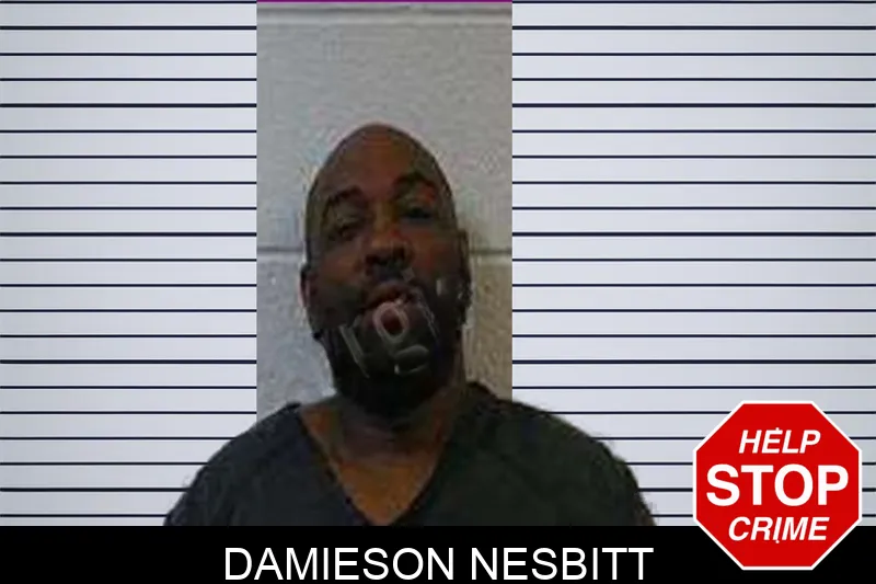 Damieson Nesbitt mugshot