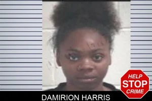 Damirion Harris mugshot