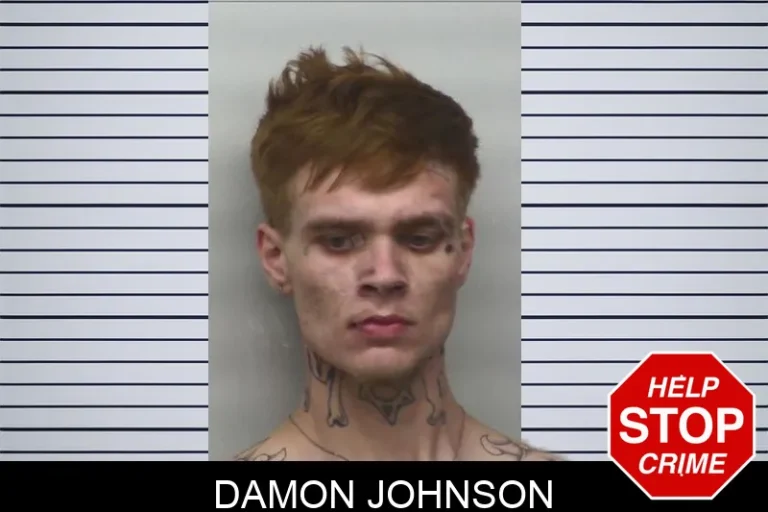Damon Johnson