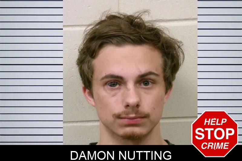 Damon Nutting