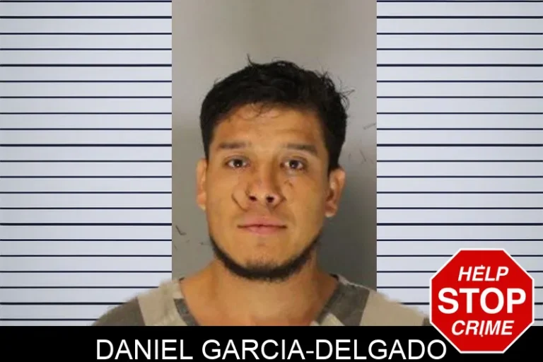 Daniel Garcia-Delgado