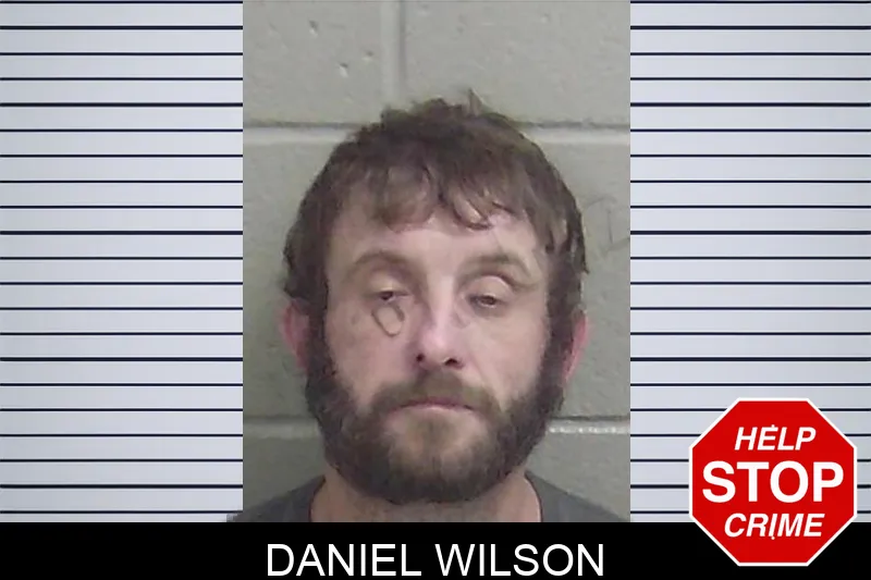 Daniel Wilson Mugshots