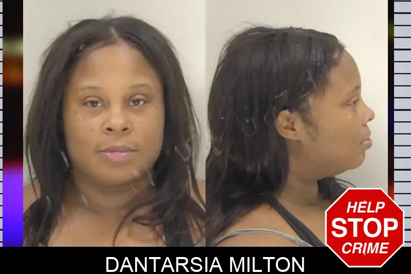 Dantarsia Milton Mugshots