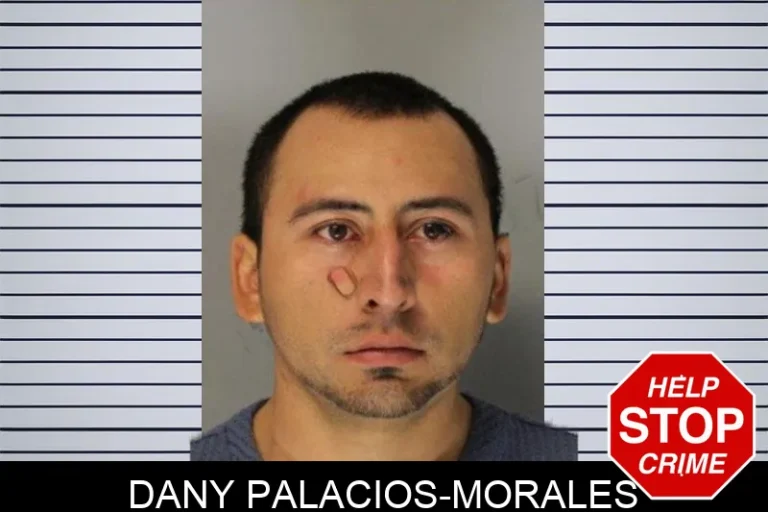 Dany Palacios-Morales mugshot – Hall County , Georgia Dany Palacios-Morales