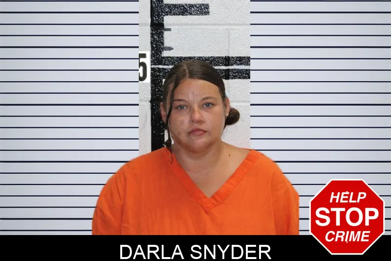 Darla Snyder Mugshots