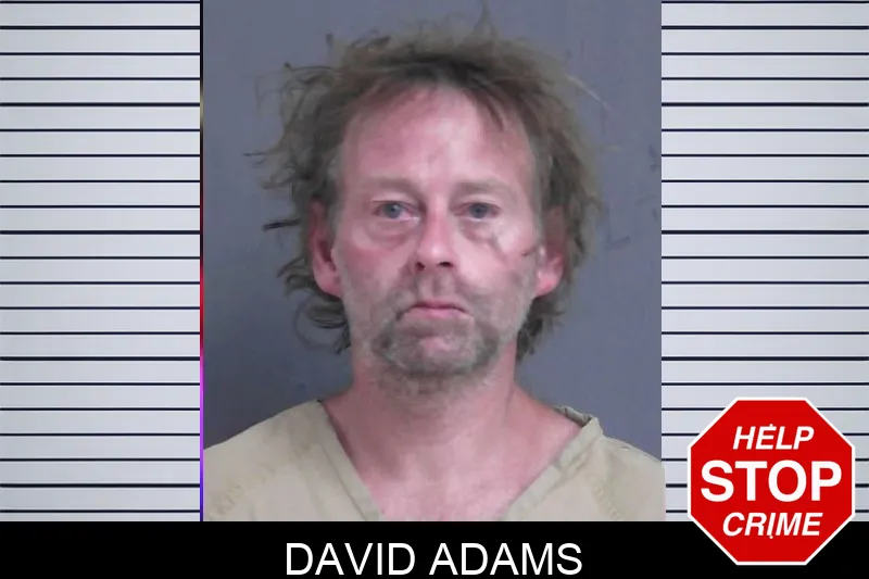 David Adams