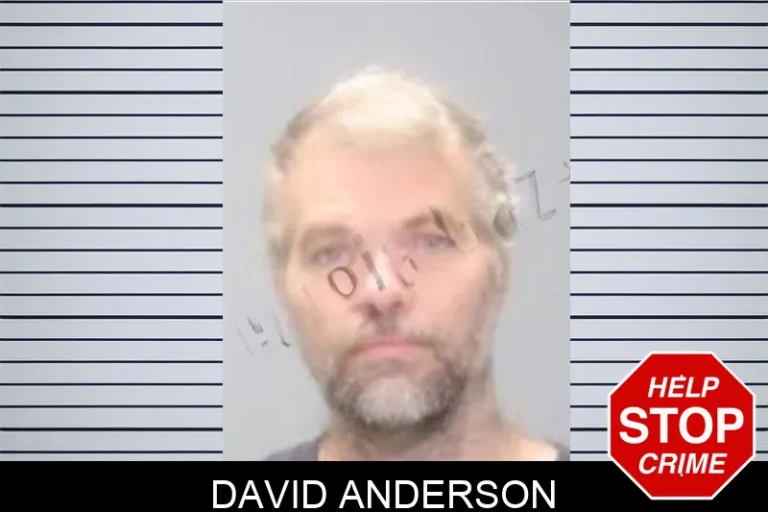 David Anderson