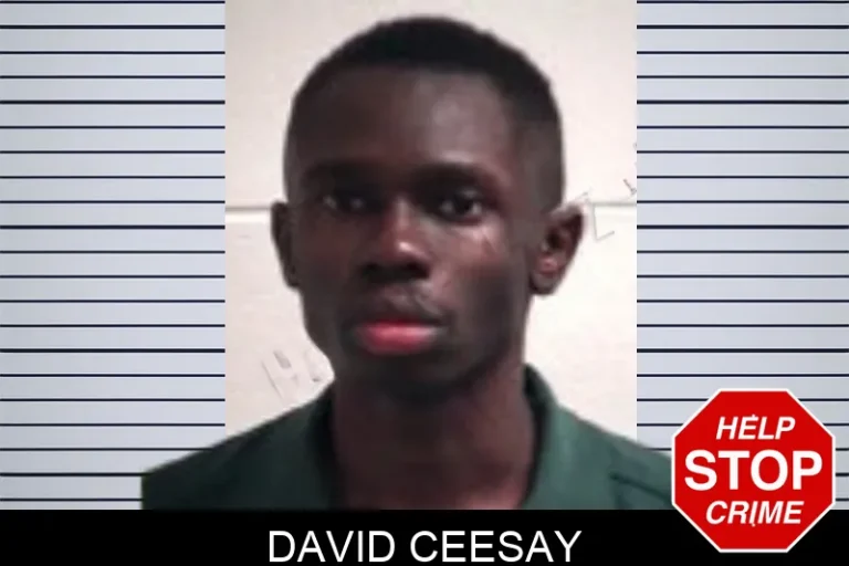 David Ceesay