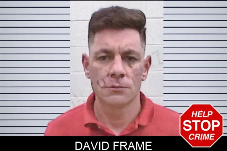 David Frame