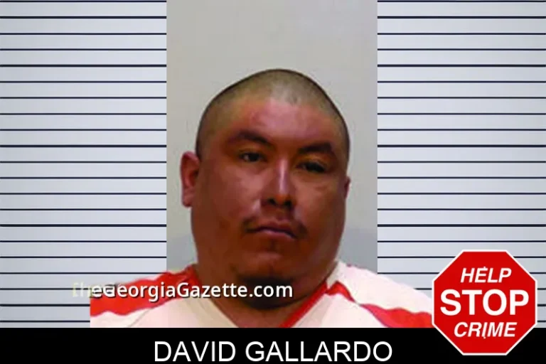 David Gallardo