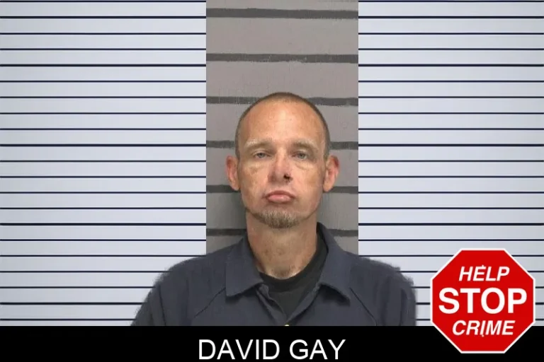 David Gay