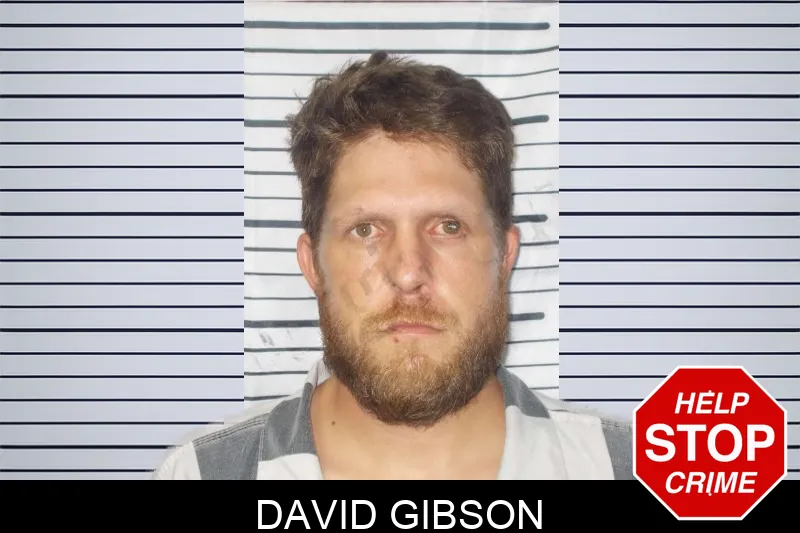 David Gibson