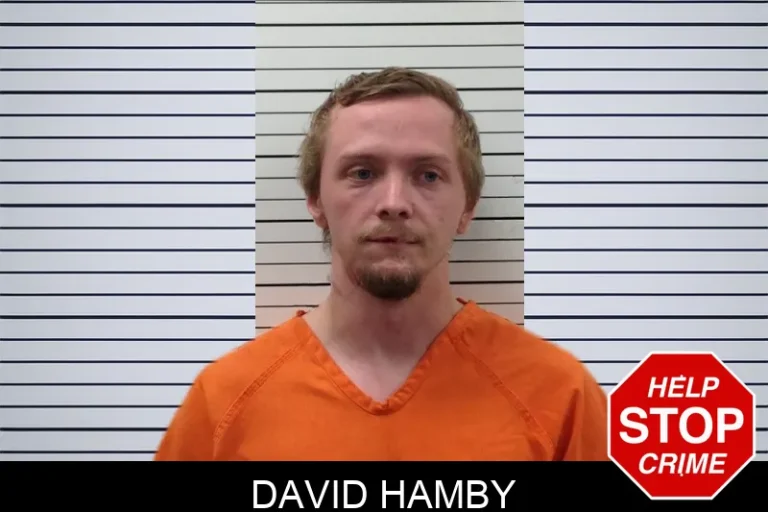 David Hamby mugshot – Pickens County , Georgia David Hamby